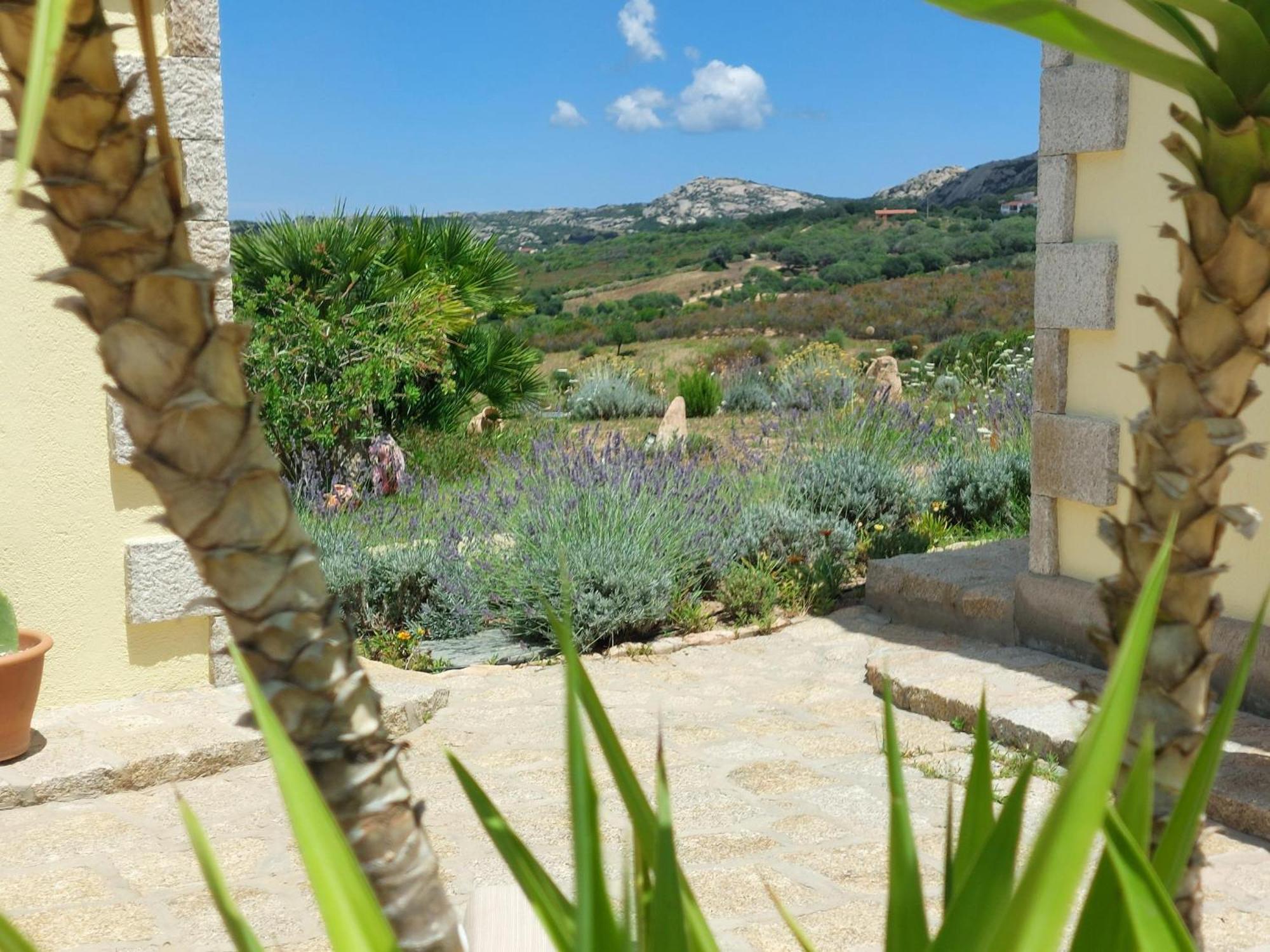 Apartment Dependance Stazzo Pavoncella *