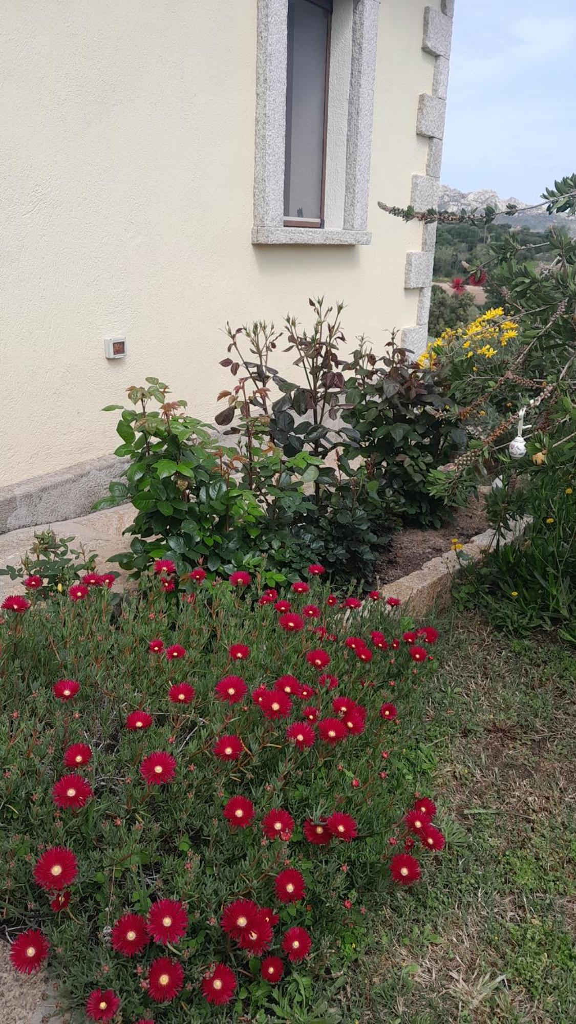 Apartment Dependance Stazzo Pavoncella Arzachena